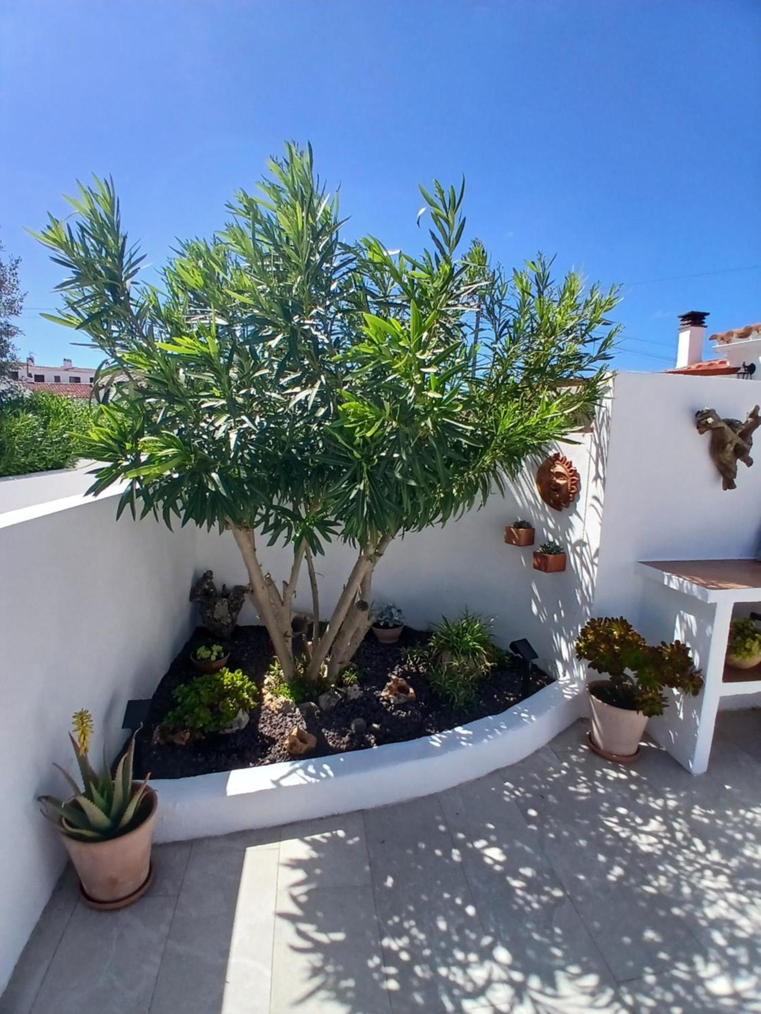 Tramontana Vakantiehuis Cala En Porter (Menorca)